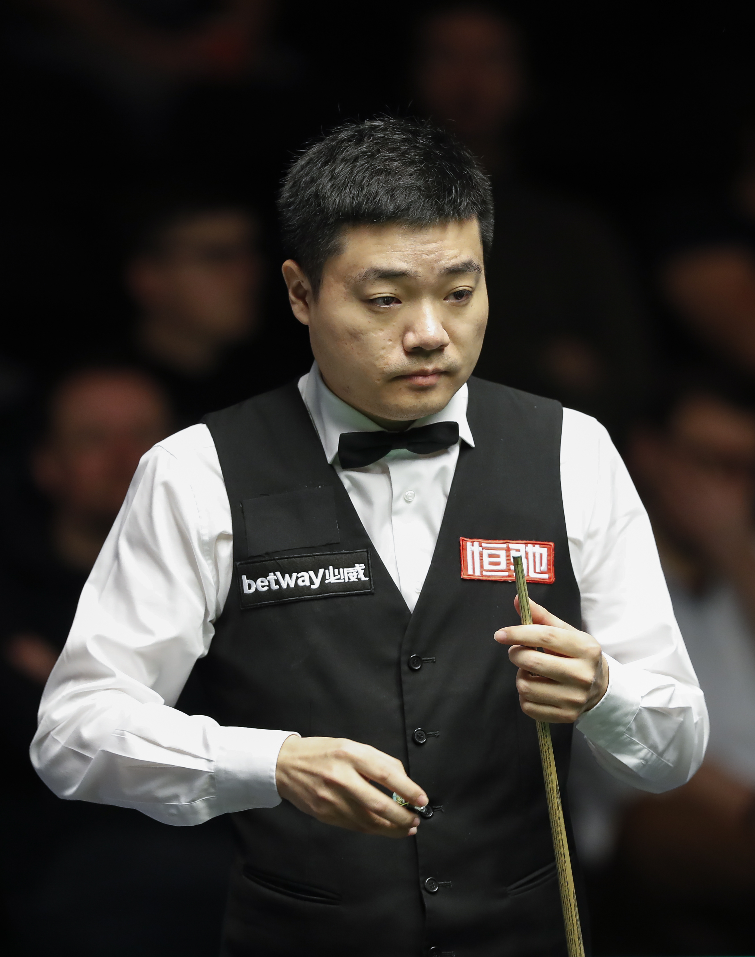 斯坦介绍中 斯坦介绍中