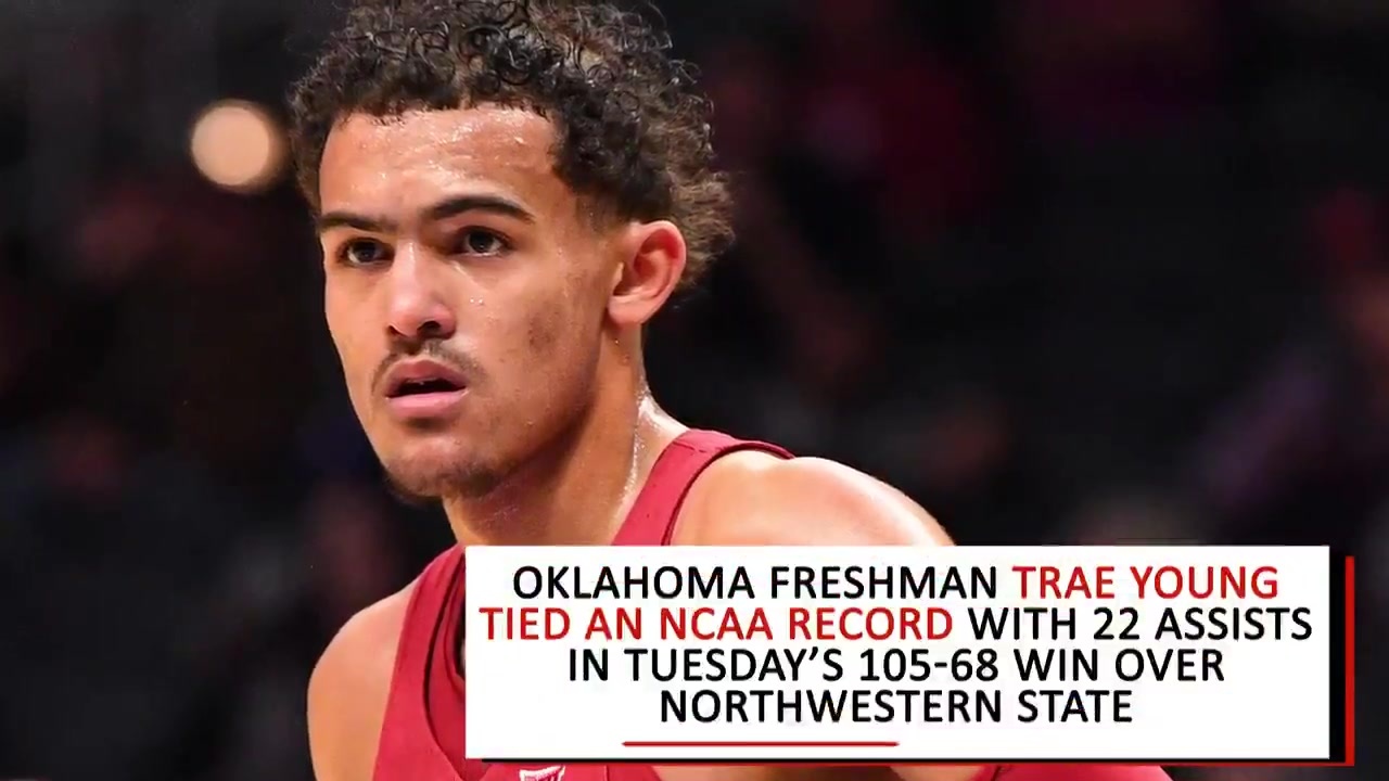 化的载体 化的载体